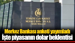 Merkez Bankası anketi yayımladı İşte piyasanın dolar beklentisi