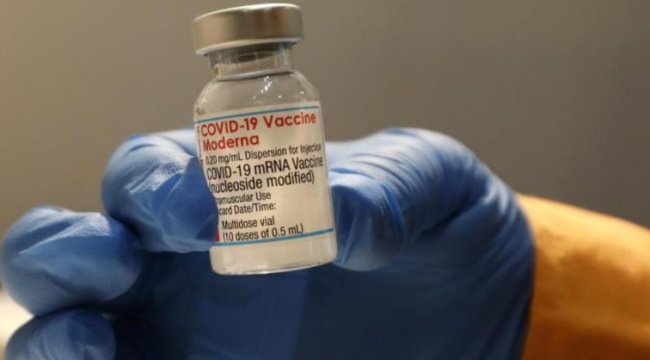 Moderna şirketinin korona virüs aşısından sivrisinek çıktı