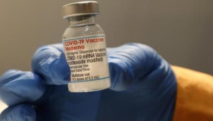 Moderna şirketinin korona virüs aşısından sivrisinek çıktı