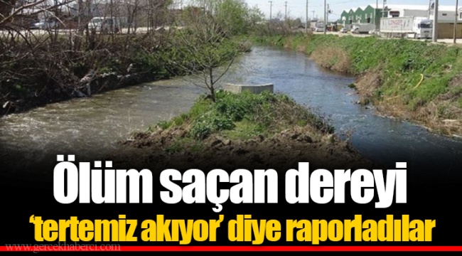 Ölüm saçan dereyi ‘tertemiz akıyor’ diye raporladılar