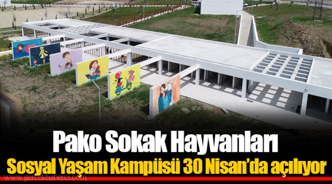 Pako Sokak Hayvanları Sosyal Yaşam Kampüsü 30 Nisan’da açılıyor
