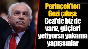 Perinçek’ten Gezi çıkışı: Gezi'de biz de varız, güçleri yetiyorsa yakama yapışsınlar