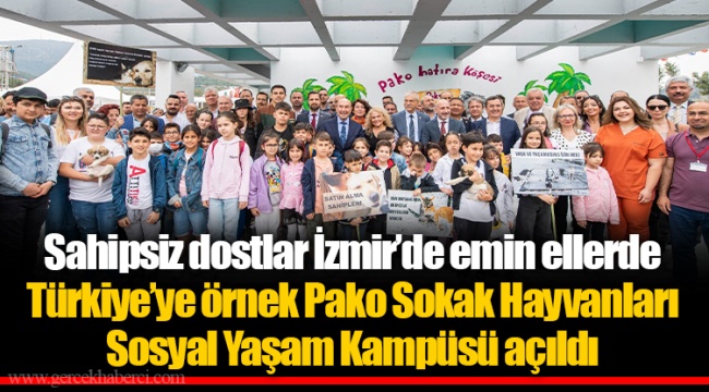 Sahipsiz dostlar İzmir’de emin ellerde