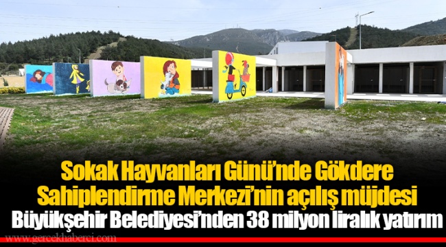 Sokak Hayvanları Günü’nde Gökdere Sahiplendirme Merkezi’nin açılış müjdesi