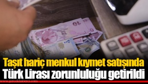 Taşıt hariç menkul kıymet satışında Türk Lirası zorunluluğu getirildi