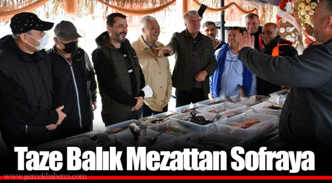 Taze Balık Mezattan Sofraya