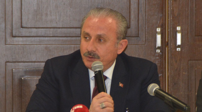 TBMM Başkanı Şentop'tan 'troll' açıklaması: Bu konuyu kapatmayacağım
