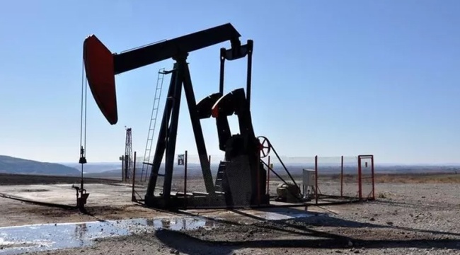TPAO Diyarbakır'da petrol işletme ruhsatı devraldı