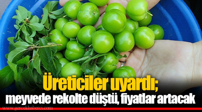 Üreticiler uyardı; meyvede rekolte düştü, fiyatlar artacak