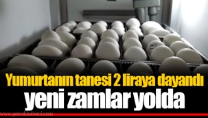 Yumurtanın tanesi 2 liraya dayandı yeni zamlar yolda