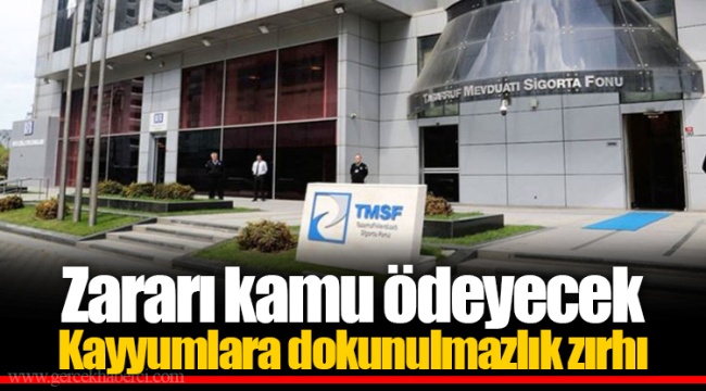 Zararı kamu ödeyecek  Kayyumlara dokunulmazlık zırhı
