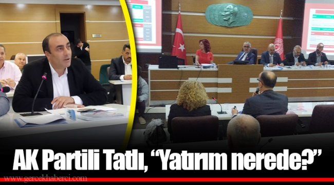 AK Partili Tatlı, “Yatırım nerede?”