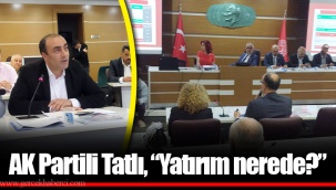 AK Partili Tatlı, “Yatırım nerede?”