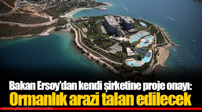 Bakan Ersoy’dan kendi şirketine proje onayı: Ormanlık arazi talan edilecek