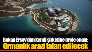 Bakan Ersoy’dan kendi şirketine proje onayı: Ormanlık arazi talan edilecek