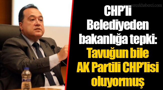 CHP’li Belediyeden bakanlığa tepki: Tavuğun bile AK Partili CHP’lisi oluyormuş