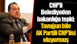 CHP’li Belediyeden bakanlığa tepki: Tavuğun bile AK Partili CHP’lisi oluyormuş