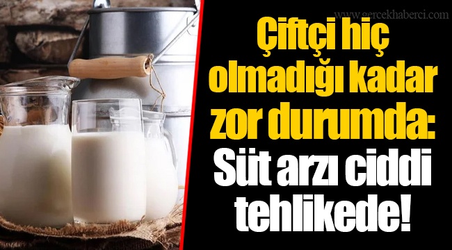Çiftçi hiç olmadığı kadar zor durumda: Süt arzı ciddi tehlikede!