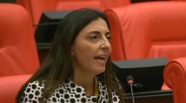 Dar Hejiroke'yi Meclis'te söyledi: CHP'li vekilden Aynur Doğan'a destek