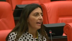 Dar Hejiroke'yi Meclis'te söyledi: CHP'li vekilden Aynur Doğan'a destek