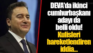 DEVA'da ikinci cumhurbaşkanı adayı da belli oldu! Kulisleri hareketlendiren iddia...