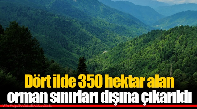 Dört ilde 350 hektar alan orman sınırları dışına çıkarıldı