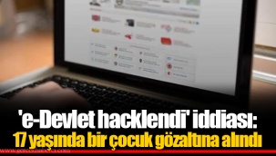 'e-Devlet hacklendi' iddiası: 17 yaşında bir çocuk gözaltına alındı