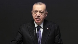 Erdoğan'dan belediyelere 'sokak hayvanları' için talimat