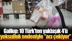 Gallup: 10 Türk'ten yaklaşık 4'ü yoksulluk nedeniyle