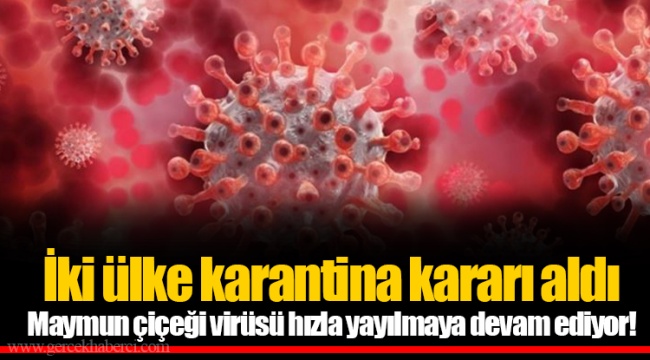 İki ülke karantina kararı aldı Maymun çiçeği virüsü hızla yayılmaya devam ediyor!