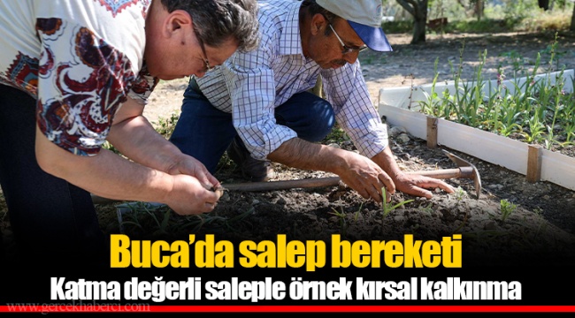 Katma değerli saleple örnek kırsal kalkınma