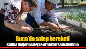 Katma değerli saleple örnek kırsal kalkınma