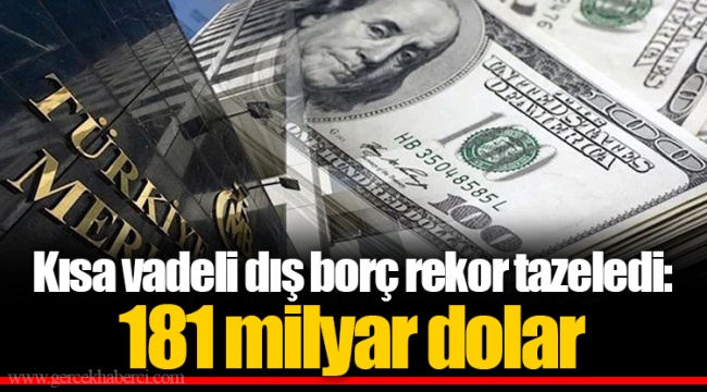Kısa vadeli dış borç rekor tazeledi: 181 milyar dolar