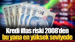 Kredi iflas riski 2008’den bu yana en yüksek seviyede