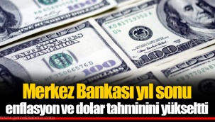Merkez Bankası yıl sonu enflasyon ve dolar tahminini yükseltti