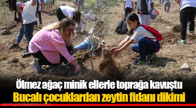 Ölmez ağaç minik ellerle toprağa kavuştu