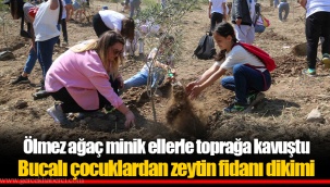 Ölmez ağaç minik ellerle toprağa kavuştu