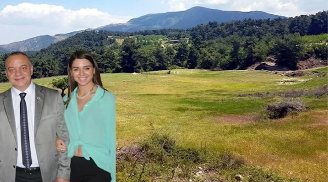 Ormandaki turizm projesinin altından büyükşehir belediye başkanının kızı çıktı