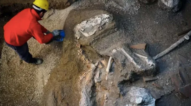 Pompeii'de ilk yanardağ kurbanı Anadolu'dan gelmiş olabilir