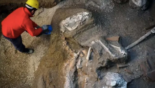Pompeii'de ilk yanardağ kurbanı Anadolu'dan gelmiş olabilir