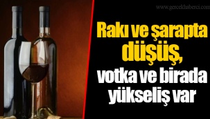 Rakı ve şarapta düşüş, votka ve birada yükseliş var