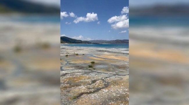Salda Gölü Koruma Derneği paylaştı: Göl, bataklık görünümü kazandı