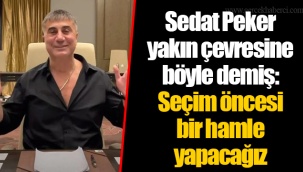 Sedat Peker yakın çevresine böyle demiş: Seçim öncesi bir hamle yapacağız