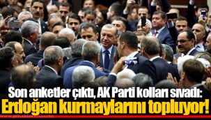 Son anketler çıktı, AK Parti kolları sıvadı: Erdoğan kurmaylarını topluyor!