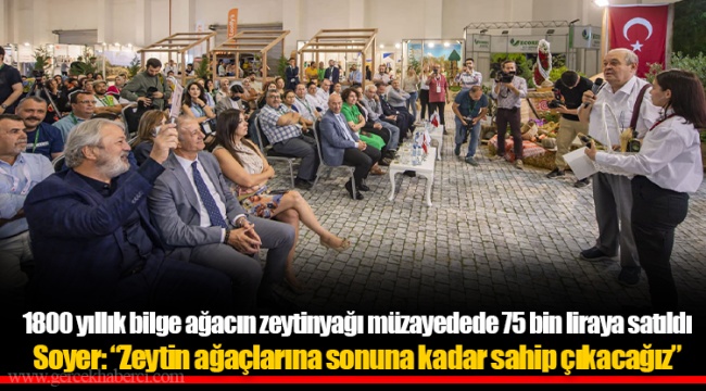 Soyer: “Zeytin ağaçlarına sonuna kadar sahip çıkacağız”