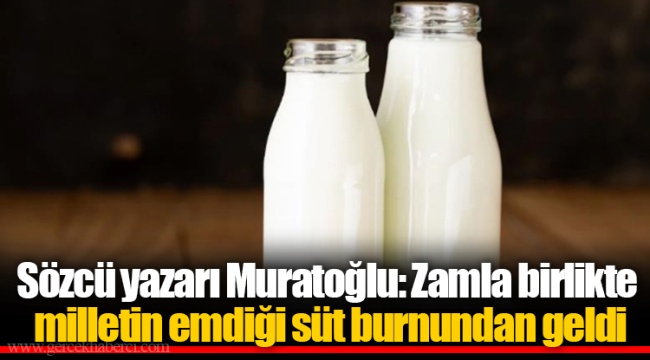 Sözcü yazarı Muratoğlu: Zamla birlikte milletin emdiği süt burnundan geldi
