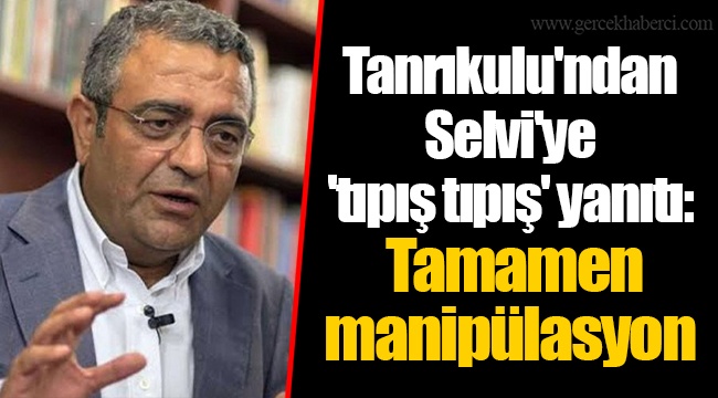 Tanrıkulu'ndan Selvi'ye 'tıpış tıpış' yanıtı: Tamamen manipülasyon