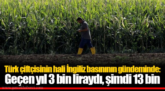 Türk çiftçisinin hali İngiliz basınının gündeminde: Geçen yıl 3 bin liraydı, şimdi 13 bin