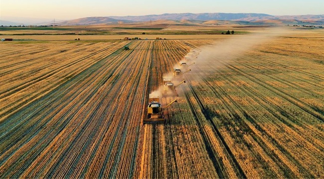 Türkiye Ziraatçılar Derneği: Çiftçiyi 'asalak' yerine koyan neoliberal siyasetçilerin verdiği zararı telafi etmek artık çok zor