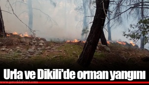 Urla ve Dikili'de orman yangını
